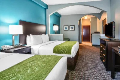 Comfort Suites Tampa - Brandon Hotel a Palm River-Clair Mel