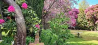 Anabel's of Scottsdale Hotels near Cafe Rhubaba