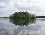 Doppelhaushälfte, Glave