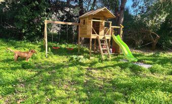 LiRi Family Paradise