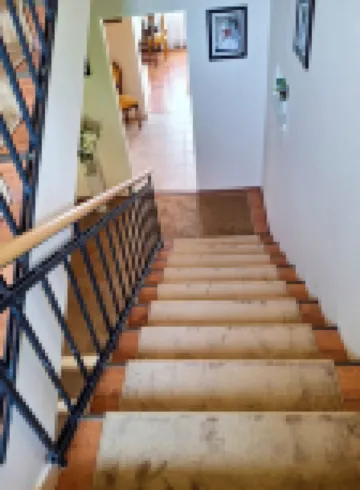 Villa Patriot Apartmany