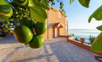 Summerheaven Apartments