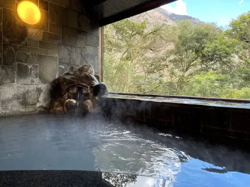 Hot Spring Inn Hakone Suisen - Dapur