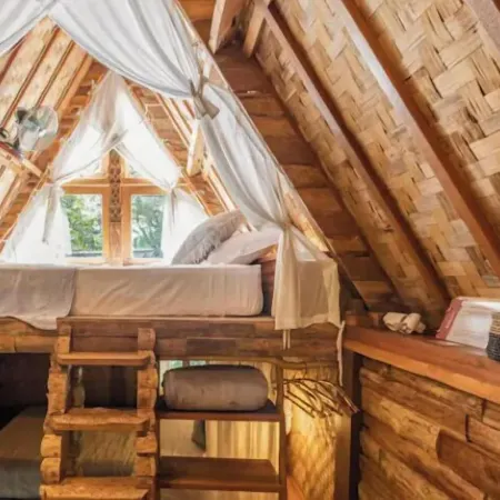 Roots Tree House