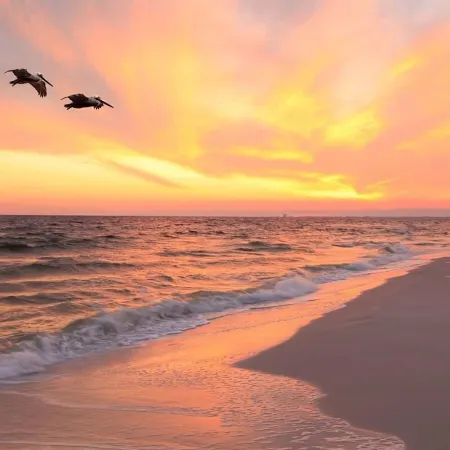 The Intercoastal #205 - Beachy Chic