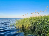Ein Strand- und Seehaus. 200m von der Camminer Bucht,1,8km vom Meer Entfernt Hotels in Kamien County