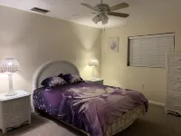 Little Cute Home