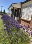Cozy 2 Bedrooms Lavender Garden House at Oamaru, sweet as home!