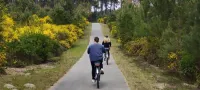Family chalet in the heart of the Landes forest with wifi - Hytter