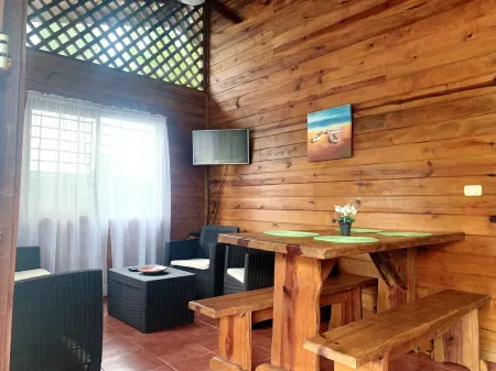 Whale Melody Marabi Bahia whale