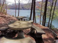 BEARADISE CABIN AT NANTAHALA LAKE  3-BEDROOMS 2-BATH SLEEPS 10 PEOPLE