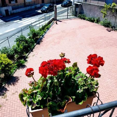 Casa Marina .. a stone's throw from the center!