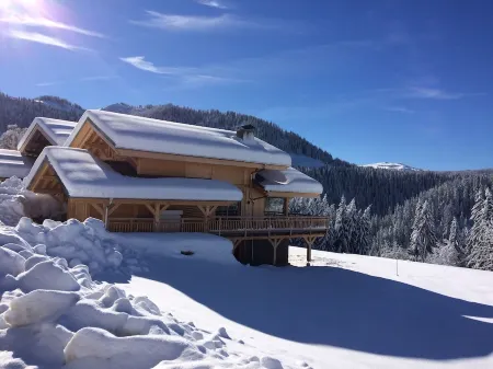 MAGNIFICENT 10-person chalet, 200ml from a lift. WIFI, Jacuzzi and Sauna Отели в г. Нотр-Дам-де-Белькомб
