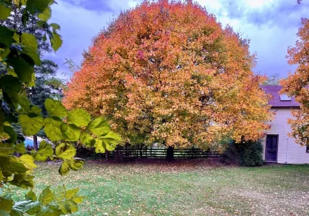 Private Getaway | Stratford 10Min | Spa ADD-on Options