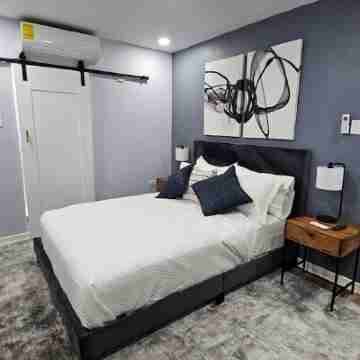 Stylish New Kingston Apartment Rooms
