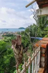 Las Cabanas del Tio Lalo - Ocean View