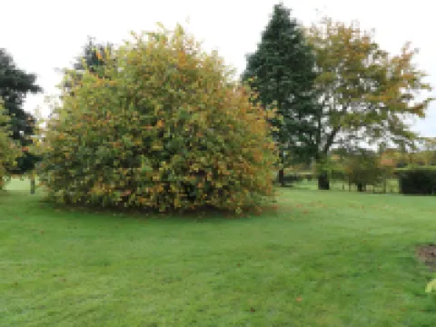 Todlaw Farm House Hotels in Jedburgh