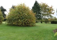 Todlaw Farm House