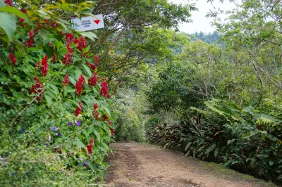 明多瑞爾賓館 酒店