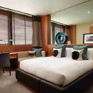 Aviator Rooms