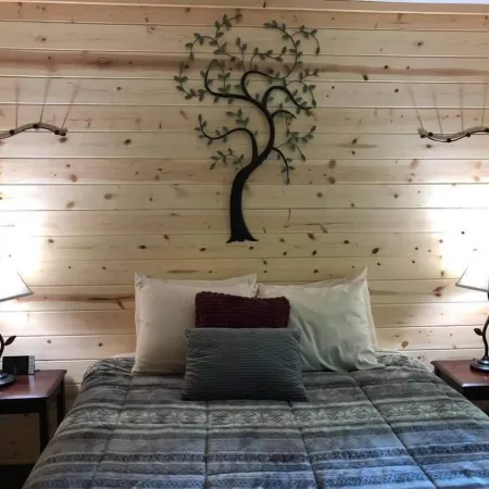 Backwoods Cabins at Susitna River Lodge