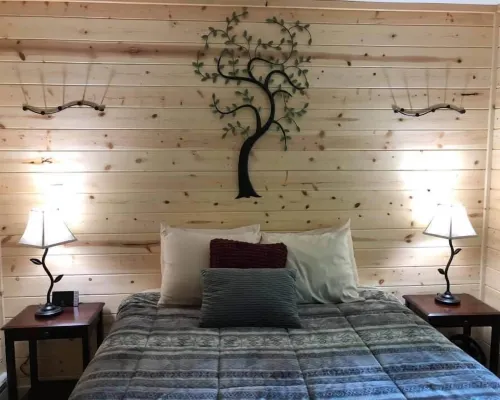 Backwoods Cabins at Susitna River Lodge Hotels in Talkeetna