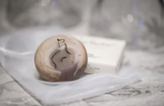 อาดาอาสตรา บูทีคโฮเทล