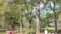 Valley Inn - Hamilton GA
