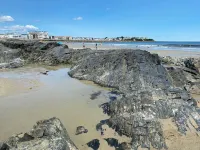 Grand View Motel - Ocean View