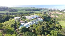 Résidence Paradis Tropical