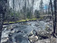 Blue Cabin by the Brook in Surry close to Acadia National Park and Bar Harbor Hotels in Surry