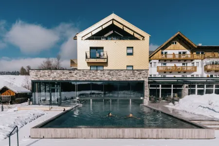 Hotel Seespitz Superior - Adults Only Отели в г. Гемайнде Инцинг