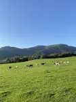 Domaine Machja Hotels in Sartène