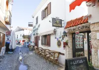 Villa Lotus Konuk Evi