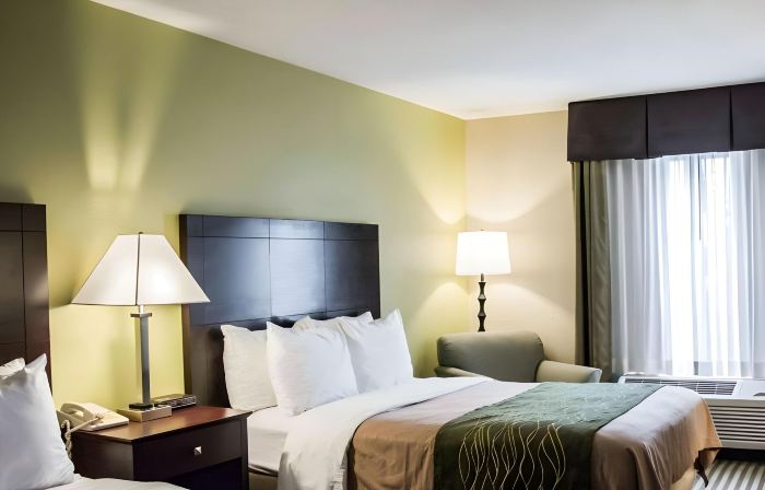 Comfort Inn & Suites St Pete - Clearwater International Airport