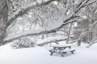 Freeze Frame