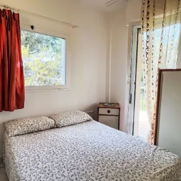 Arancio di Liguria (Pgi211)