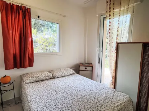 Arancio di Liguria (Pgi211)