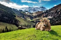 Hotel- Restaurant Krone Hotel a Urnasch