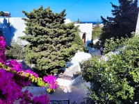 Dar Salama Hotels in 