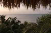 Casa Las Tortugas Petit Beach Hotel & Spa - Scenic
