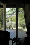 Countryside house located in an olive grove, very quiet, wonderful scenery
