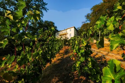 Dream apartment in a dream location - living in a villa on the castle hill in Loschwitz Hotels in Loschwitz/Wachwitz