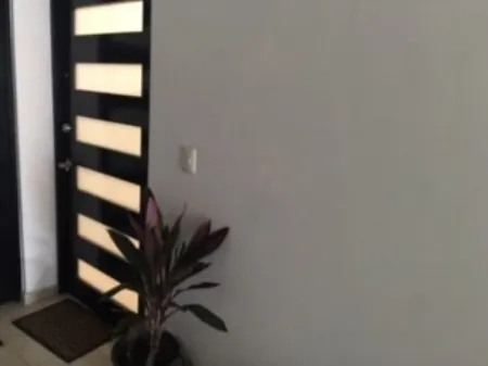 3 Bed 2 Bath Apartment In Quiet Safe Neighborhood