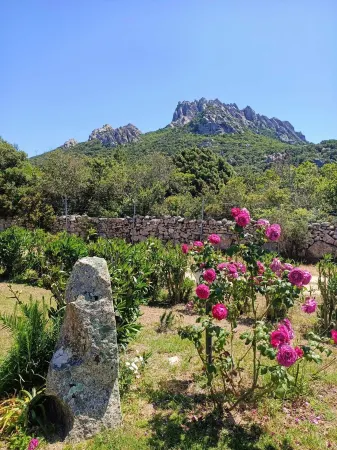 Villa Pantaleo Design e Comfort in Campagna Chic Отели рядом с достопримечательностью «Quarta Spiaggia»