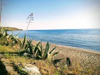 Home easy sister mare