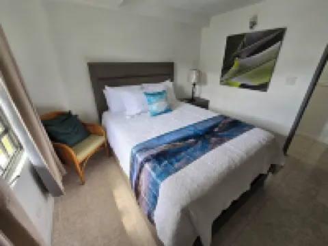 Charming 2- Bedroom Apartment with AC, WiFi in St Thomas' East End