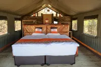 Luxury safari tent between Maun and Moremi