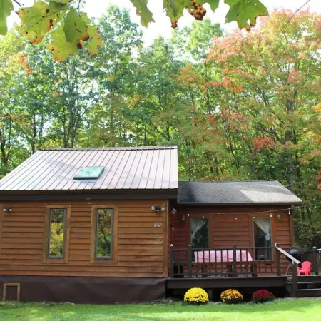Cozy woodsy family-friendly cabin retreat