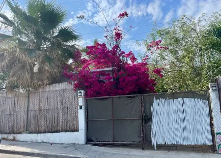 Casa Kante, acogedora casita en el corazon de San José del Cabo